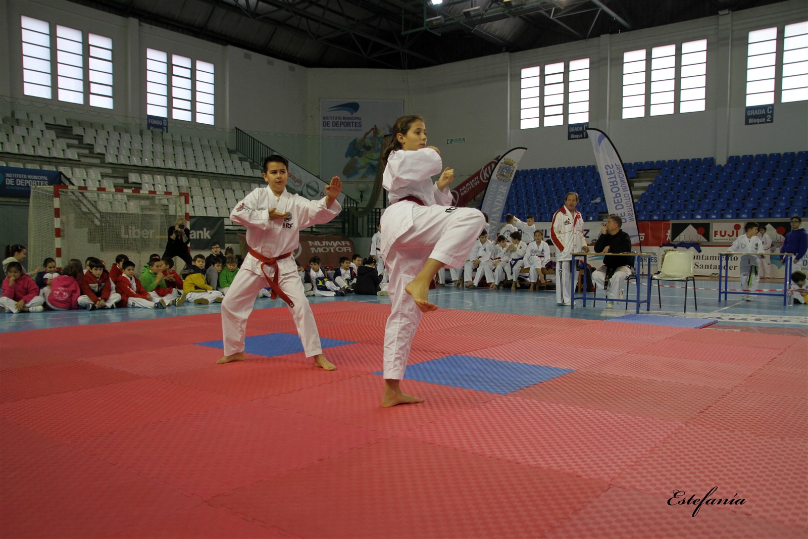 Taekwondo (173).jpg